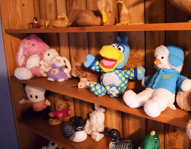 Shelf of stuffed animal toys at Spencer Hill
