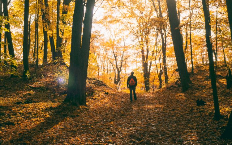 Man walking through forest in the fall
