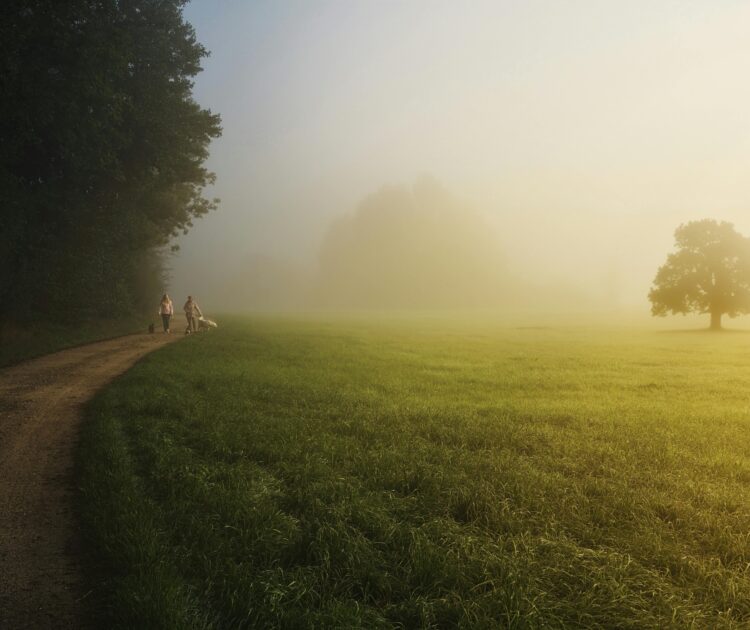 Two people walk dogs in the countryside, exhibiting a superior work-life balance.