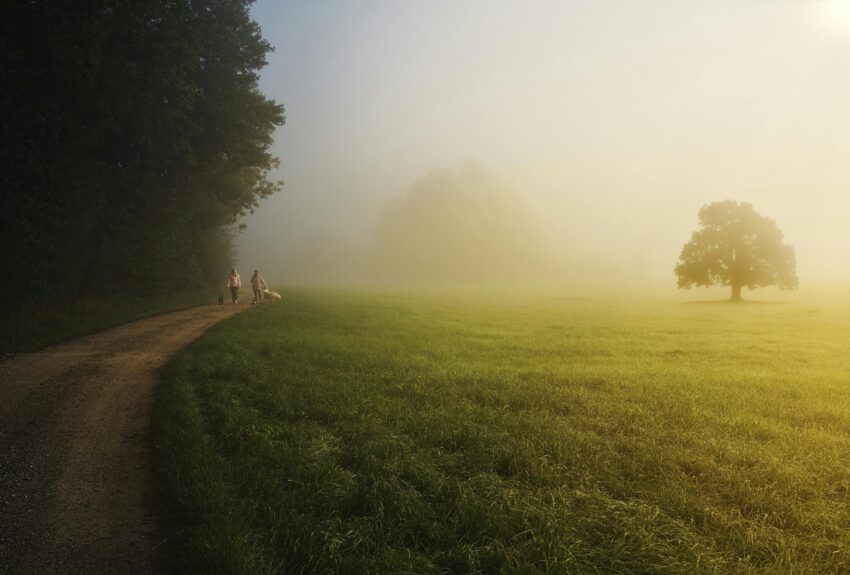 Two people walk dogs in the countryside, exhibiting a superior work-life balance.