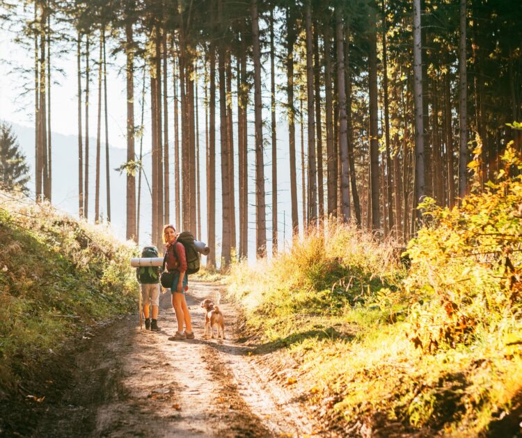 A woman pauses on a hike to appreciate the beauty of nature and ponder alternatives for mental health.