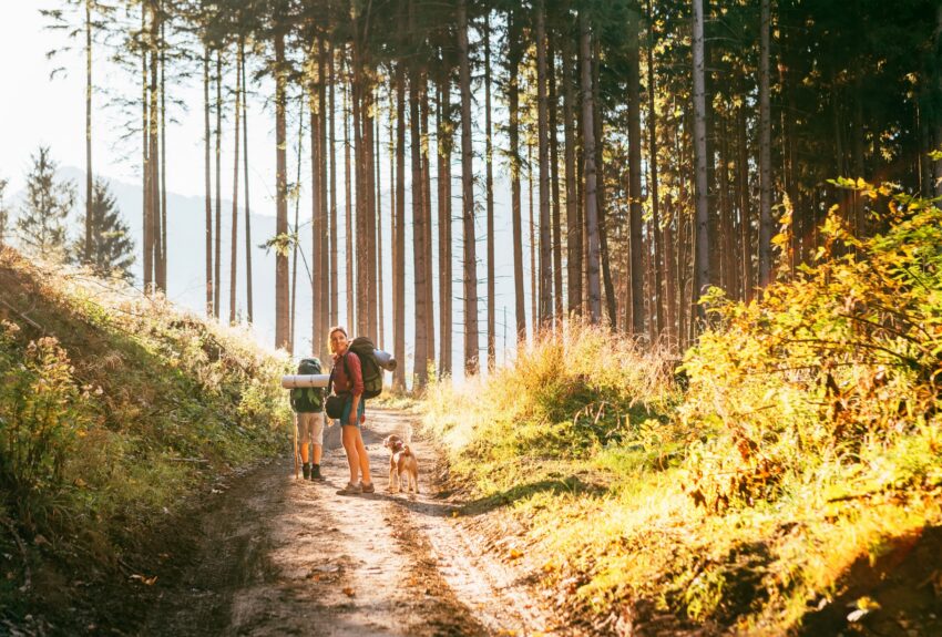 A woman pauses on a hike to appreciate the beauty of nature and ponder alternatives for mental health.