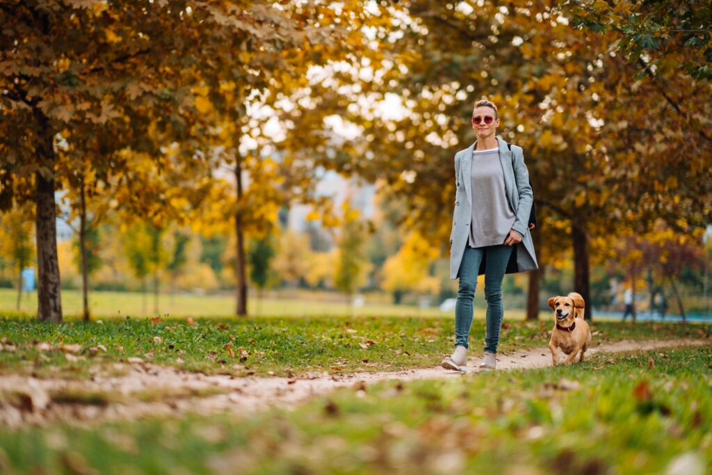 Happy woman wearing grey coat and sunglasses walking on a park trail with a small brown dog in autumn
