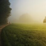 Two people walk dogs in the countryside, exhibiting a superior work-life balance.